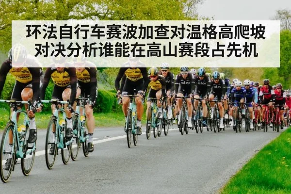 环法自行车赛波加查对温格高爬坡对决分析谁能在高山赛段占先机